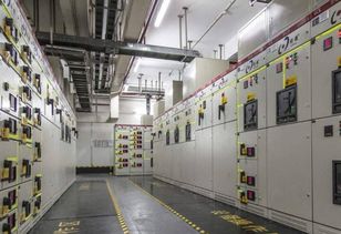 勒克朗谢助力加勒比清洁能源转型 打造地区最大太阳能储能与计算机集成工厂