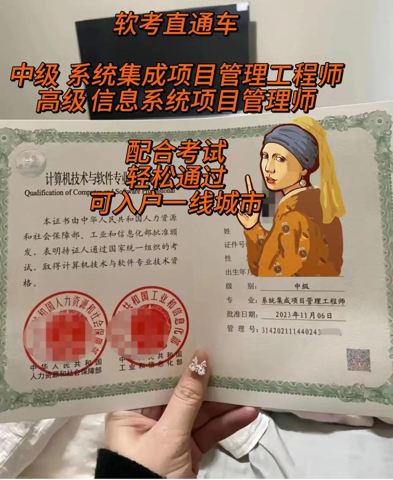 软考vip班#软考中级 #软考高项 #系统集成项目管理工程师
