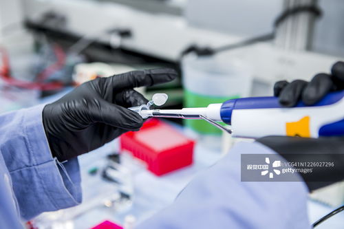 摄影图片与摄影摄像服务 捕捉生活，定格永恒